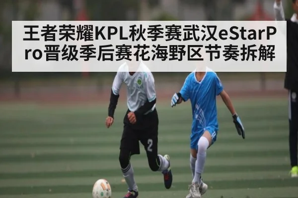 王者荣耀KPL秋季赛武汉eStarPro晋级季后赛花海野区节奏拆解